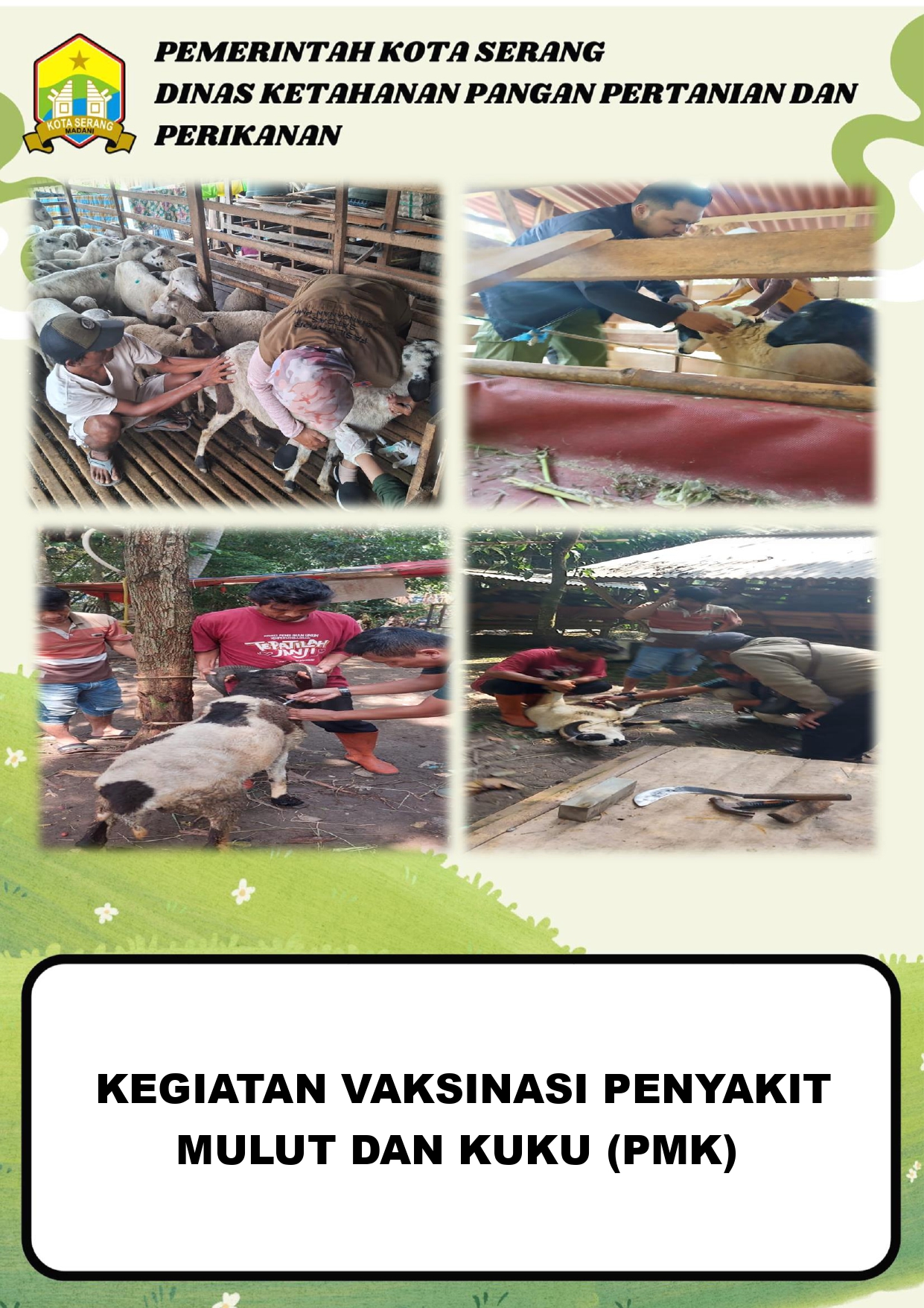 Bidang Peternakan dan Kesehatan Hewan DKP3 Kota Serang Laksanakan Kegiatan Vaksinasi PMK pada Hewan Ternak