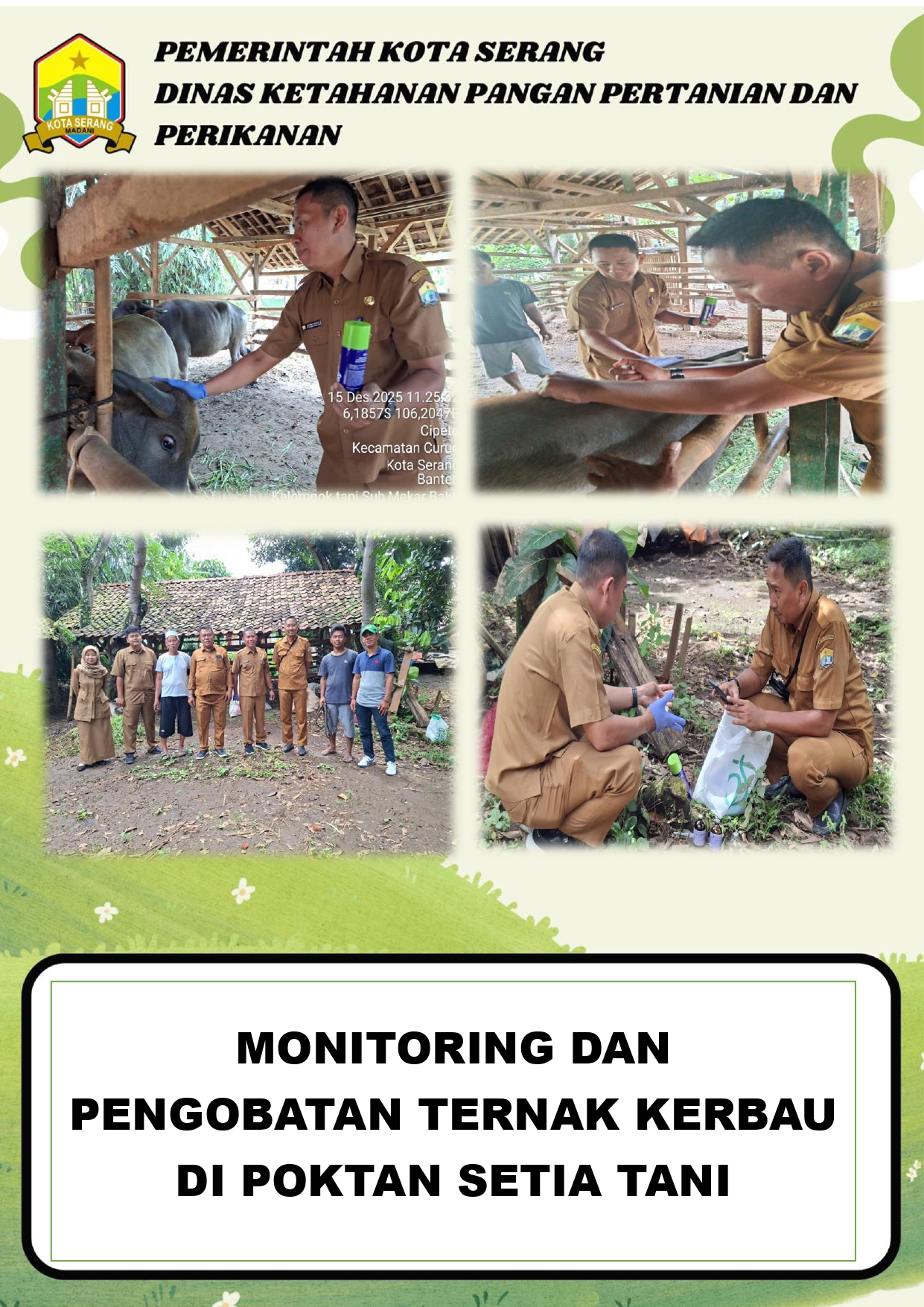 Monitoring dan Pengobatan Ternak Kerbau di Poktan Setia Tani, Cipete Curug