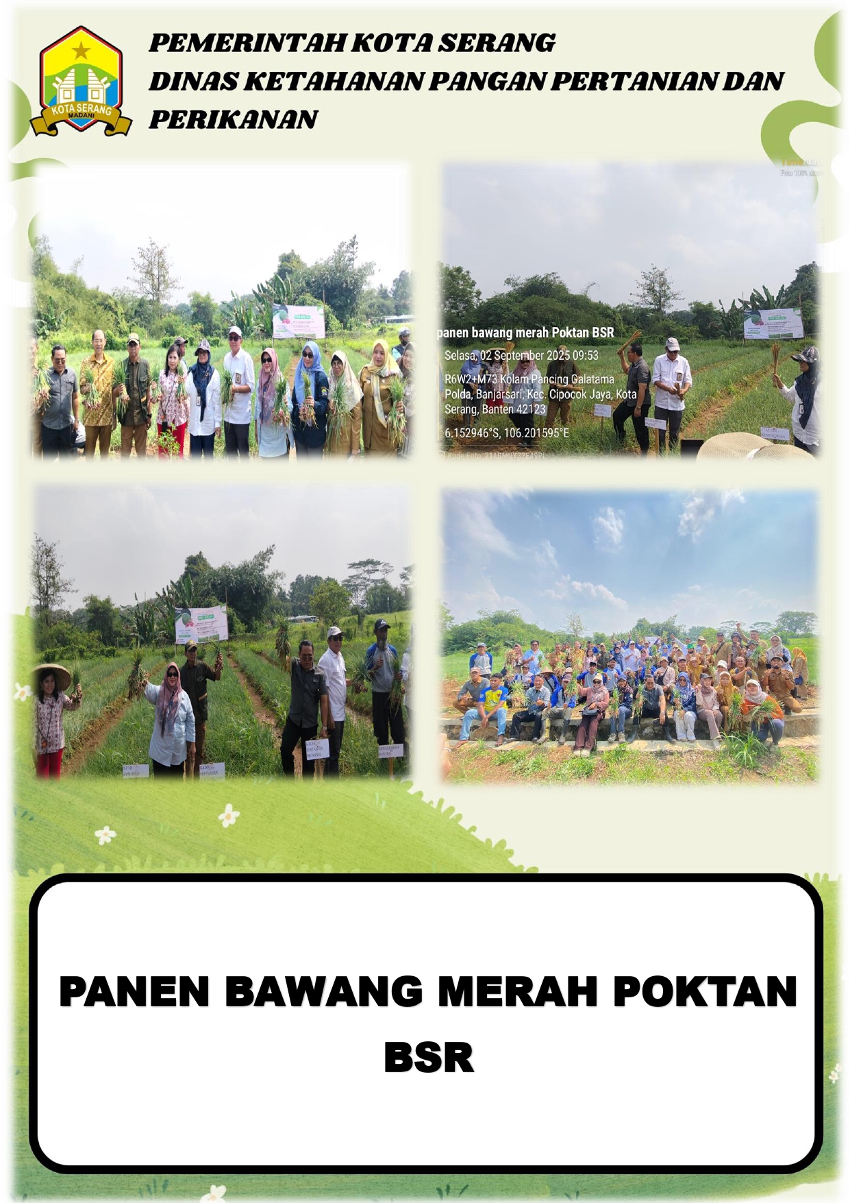 PANEN BAWANG MERAH POKTAN