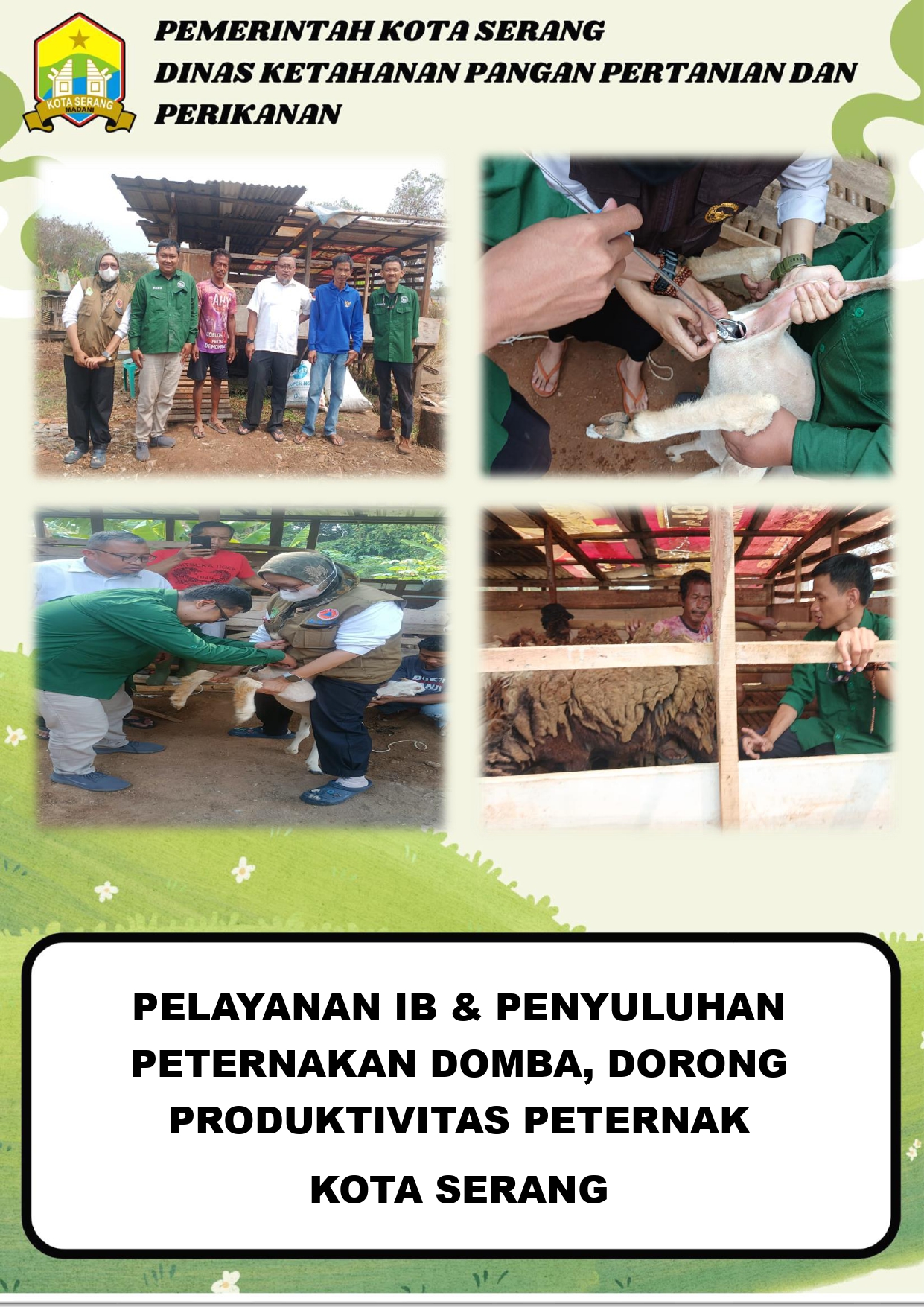 PELAYANAN IB & PENYULUHAN PETERNAKAN DOMBA, DORONG PRODUKTIVITAS PETERNAK KOTA SERANG