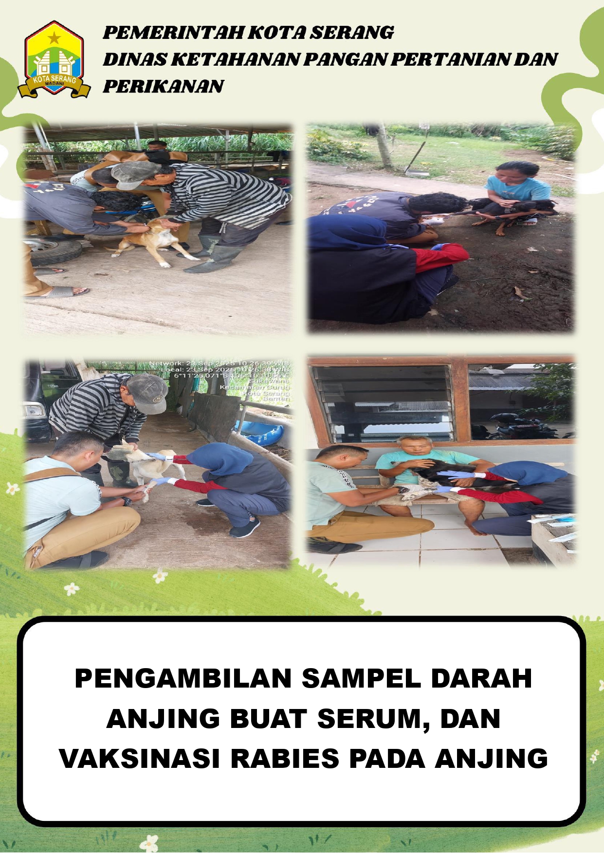 Kegiatan Pengambilan Sampel Darah Anjing untuk Serum dan Vaksinasi Rabies pada Anjing