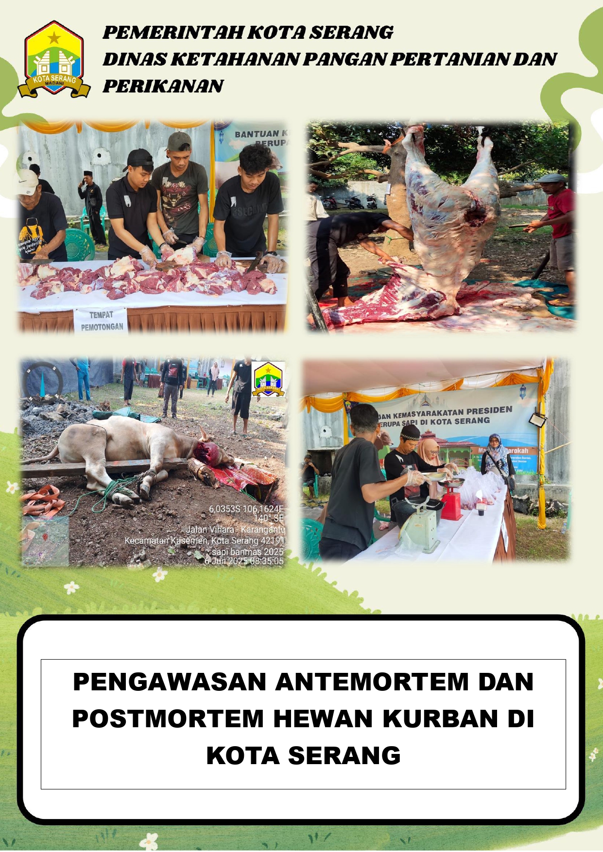 Pengawasan Antemortem dan Postmortem Hewan Kurban di Kota Serang
