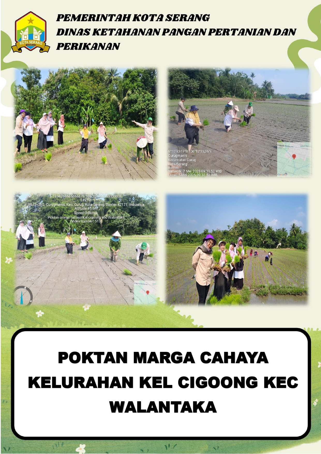 Demplot Varietas Cakrabuana Seluas 2 Hektare di Poktan Marga Cahaya, Cigoong Walantaka