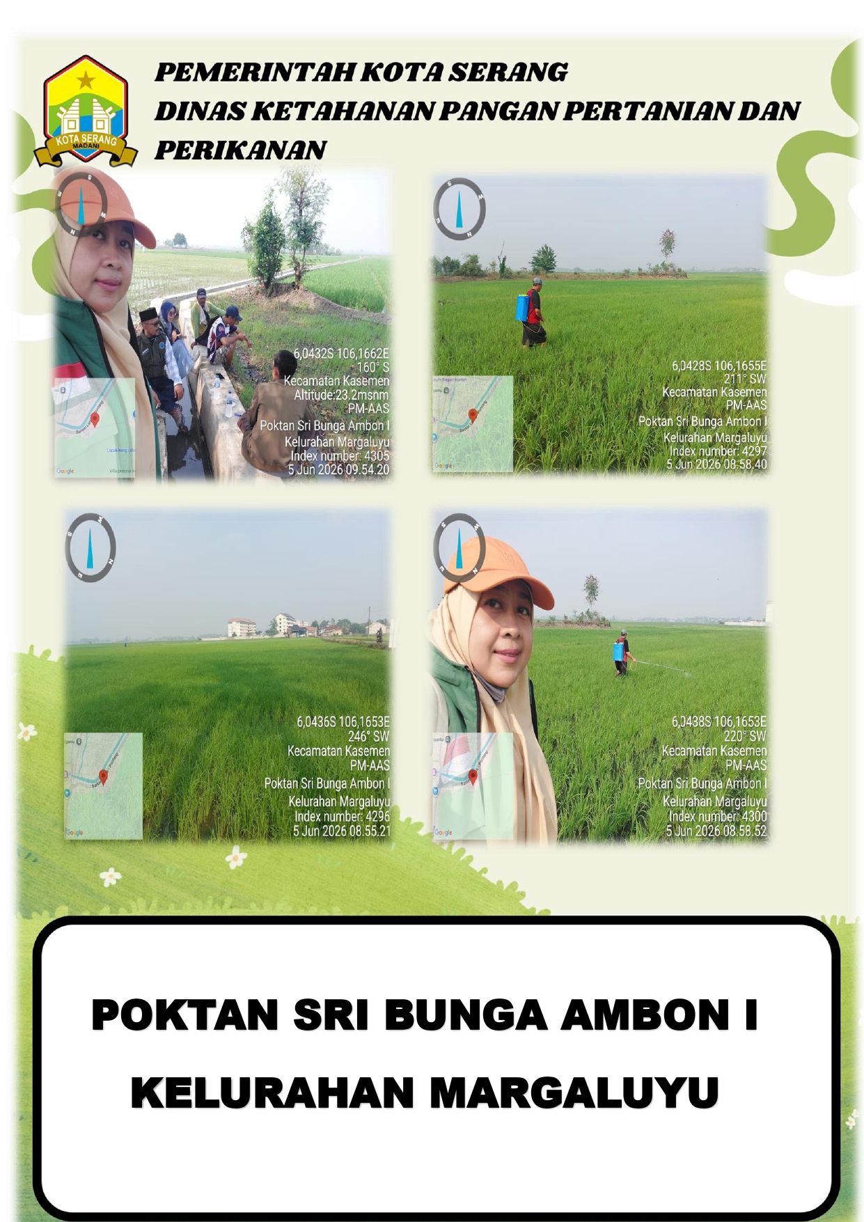 PENYEMPROTAN HERBISIDA PASCA TUMBUH PADA PROGRAM PM-AAS DI POKTAN SRI BUNGA AMBON I KELURAHAN MARGALUYU KECAMATAN KASEMEN