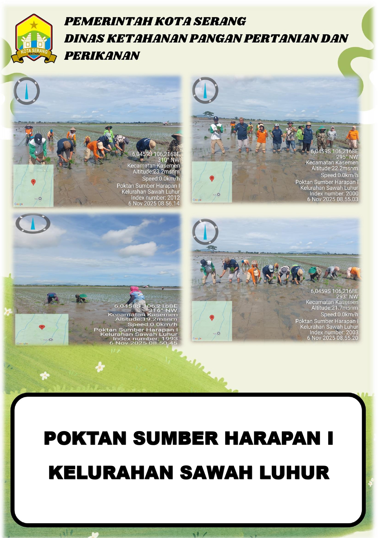 Gerakan Tanam Demoplot Poktan Sumber Harapan I Kelurahan Sawah Luhur