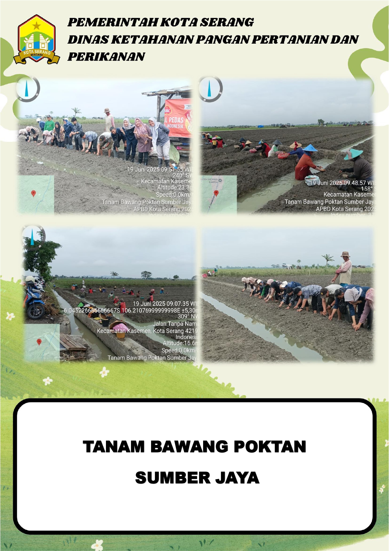 Tanam Bawang oleh Kelompok Tani Sumber Jaya: Dorong Diversifikasi dan Ketahanan Pangan Kota Serang