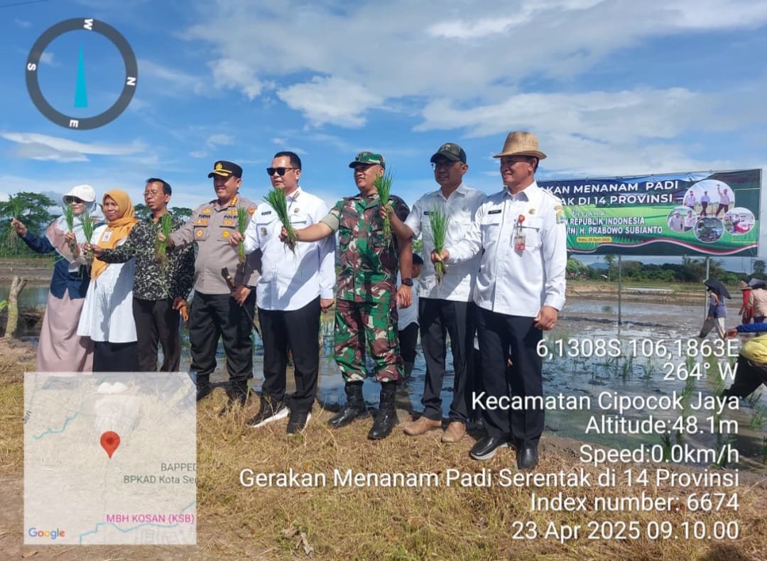 Gerakan Menanam Padi Serentak di 14 Provinsi, Kecamatan Cipocok Jaya Kota Serang Jadi Lokasi Kegiatan