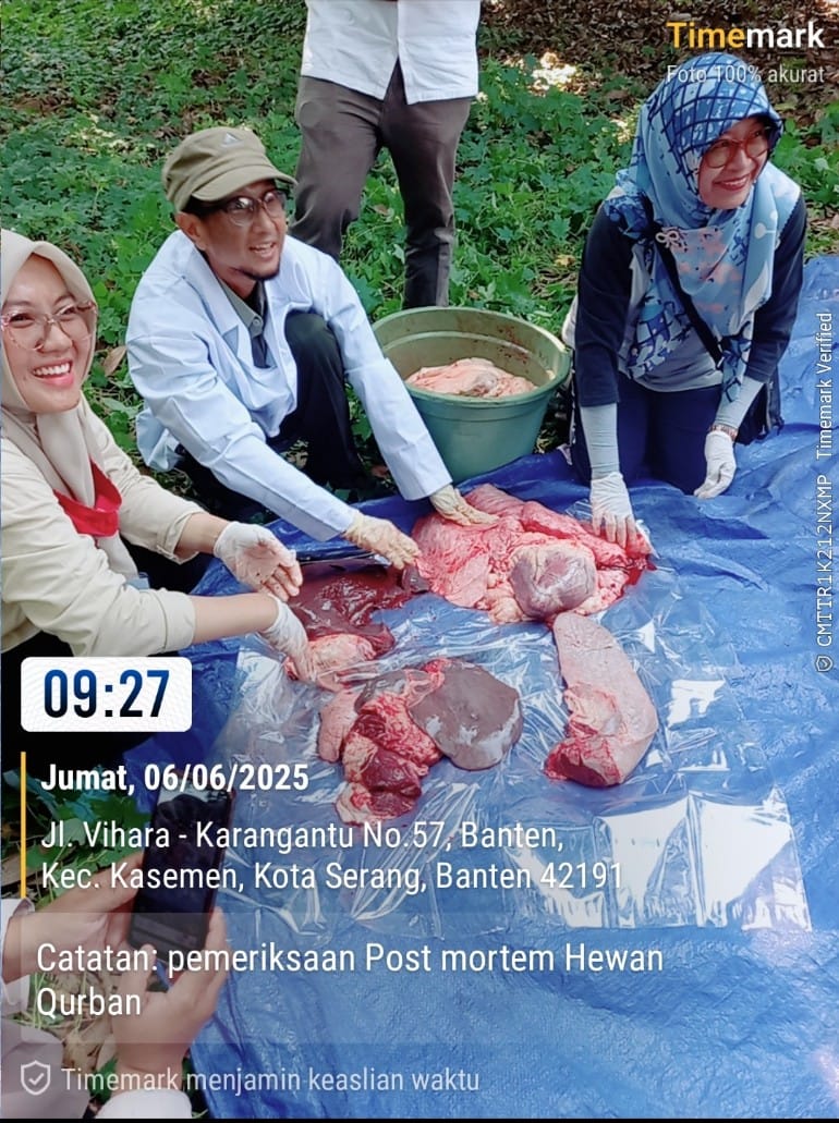 Pengawasan Antemortem dan Postmortem Hewan Kurban di Kota Serang