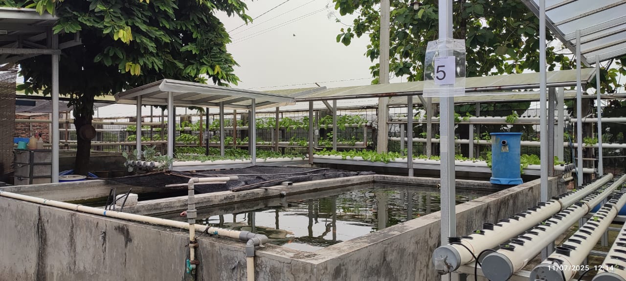 Pemenuhan Komitmen Allisa Farm (Hidroponik): Dorong Produksi Pangan Segar yang Aman dan Tersertifikasi