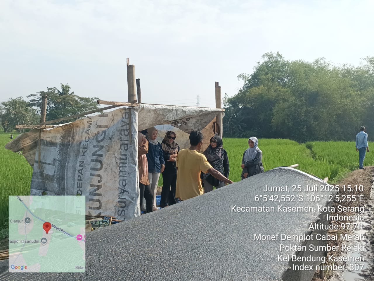 Monev Demplot Cabai Merah Poktan Sumber Rejeki: Upaya Peningkatan Produksi Hortikultura di Kota Serang