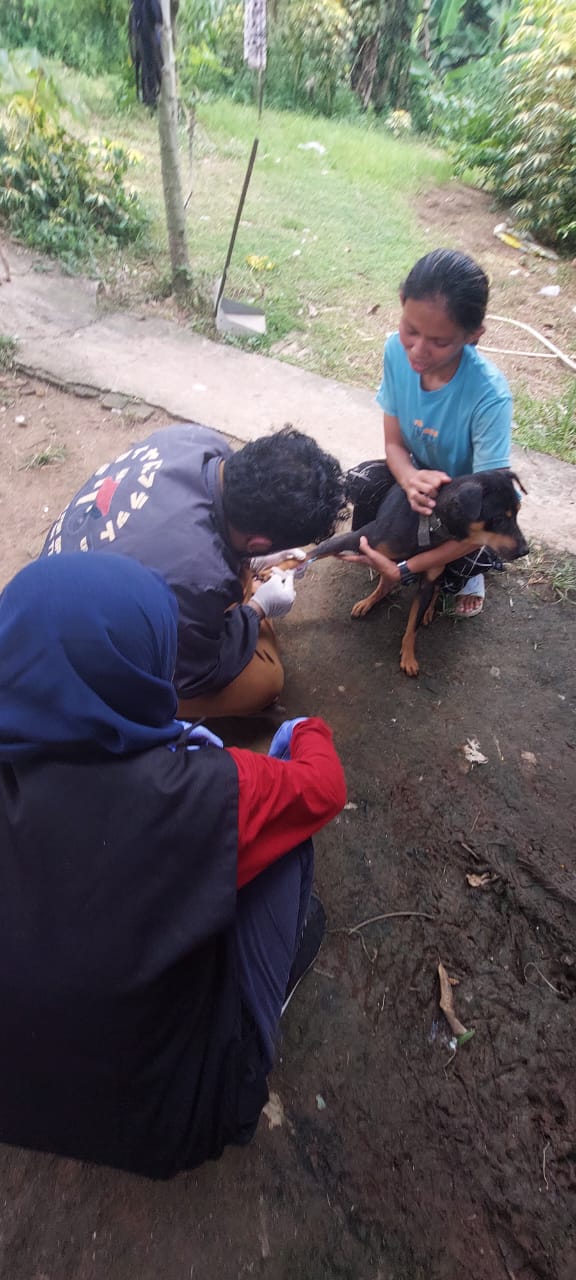 Kegiatan Pengambilan Sampel Darah Anjing untuk Serum dan Vaksinasi Rabies pada Anjing