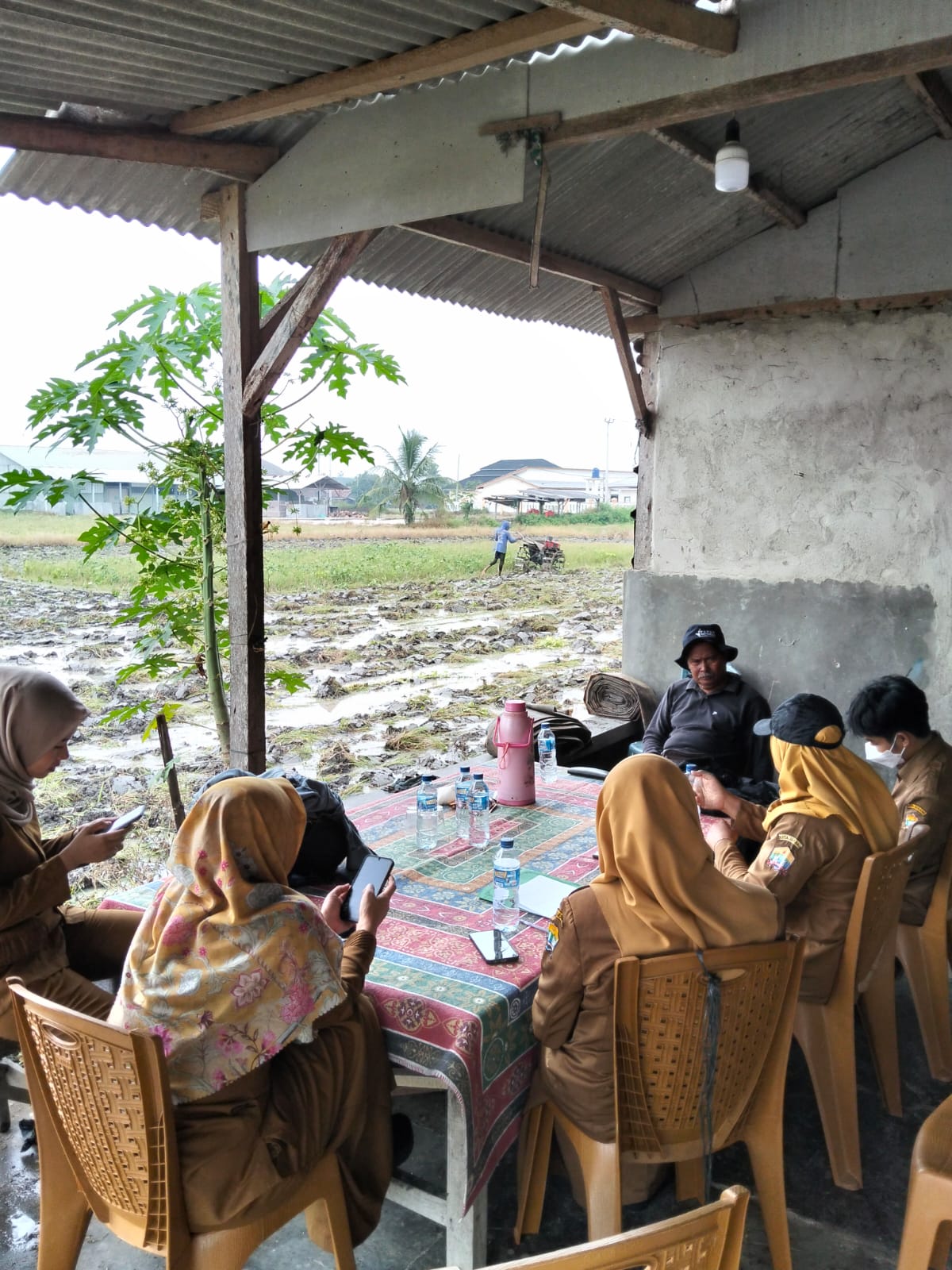 Poktan Tunas Alam Kecamatan Kasemen Dapat Pendampingan dari Bidang Pertanian DKP3 Kota Serang